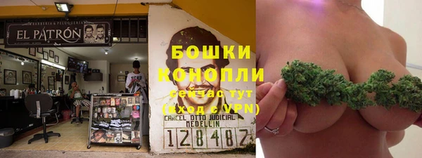 PSILOCYBIN Алзамай