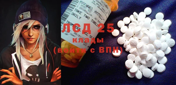 PSILOCYBIN Алзамай