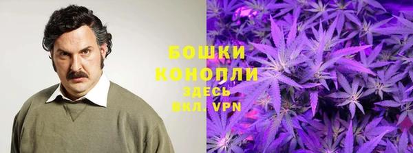 PSILOCYBIN Алзамай